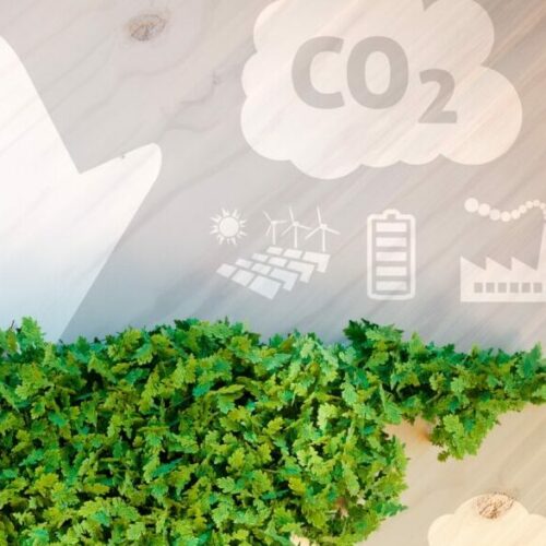 PreCOP – Global Challenges, International Climate Policy and the Role of Business