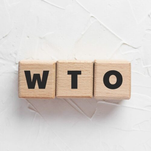 Die WTO – Kompass in stürmischen Zeiten