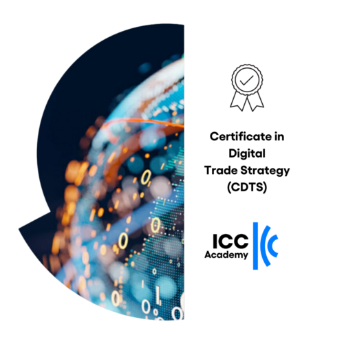 Online-Zertifikat im Selbststudium: Certificate in Digital Trade Strategy (CDTS)